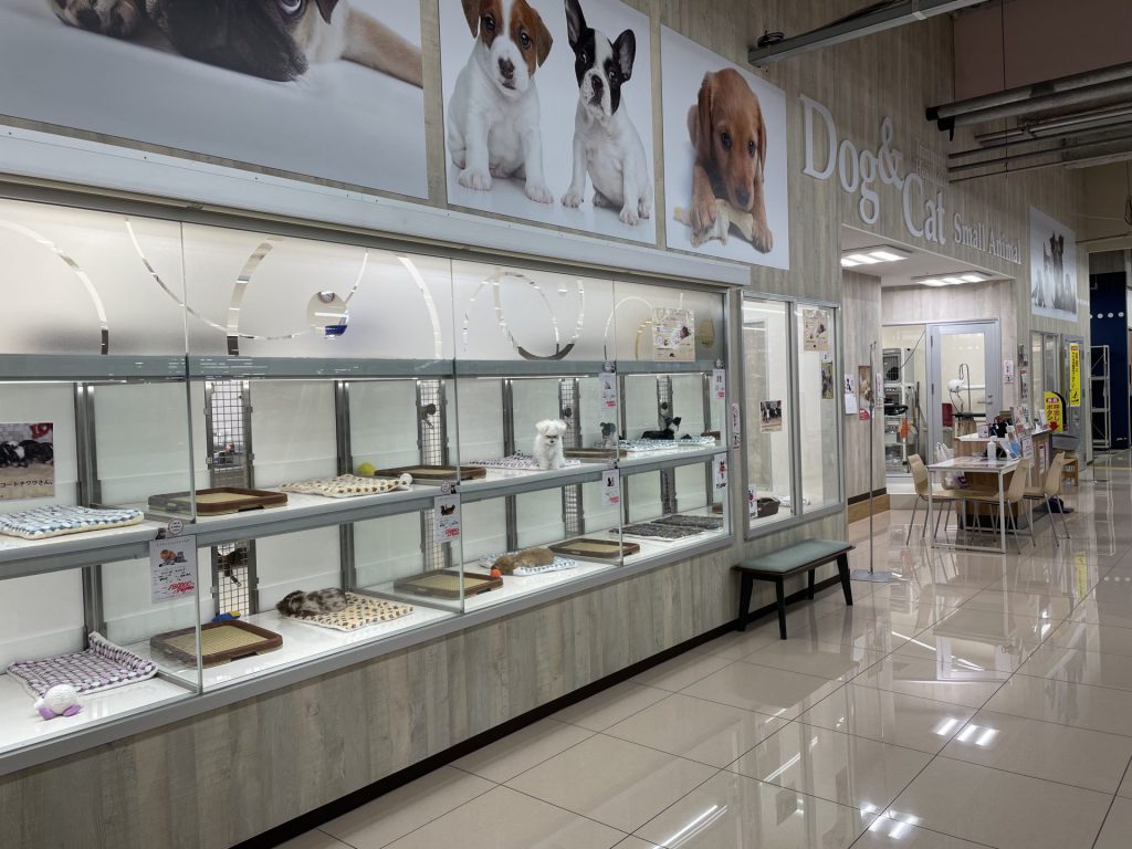 ペットショップチロル沼津駅北店 ペットショップ チロル ペットショップチロル沼津駅北店 ペットショップ チロル